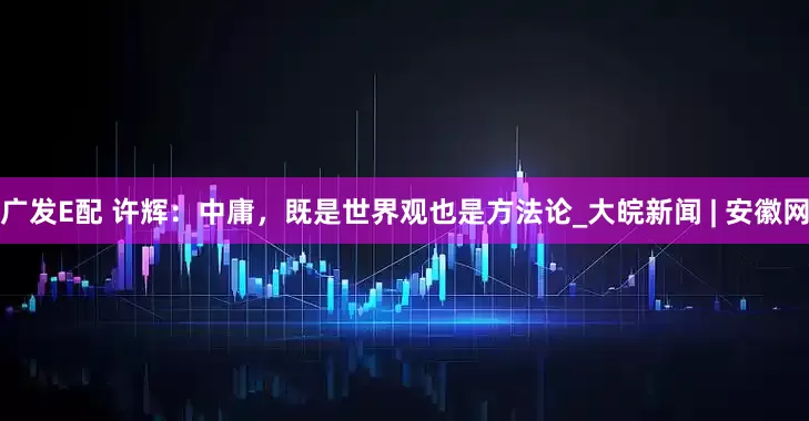 广发E配 许辉：中庸，既是世界观也是方法论_大皖新闻 | 安徽网
